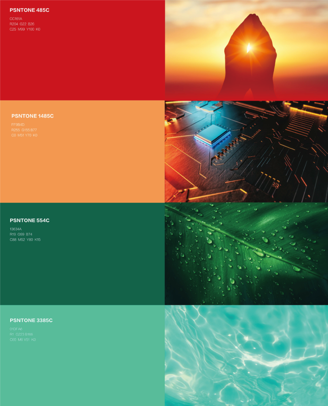 ����˹87978797(�й�)��Ʒ��-�ٷ���վ